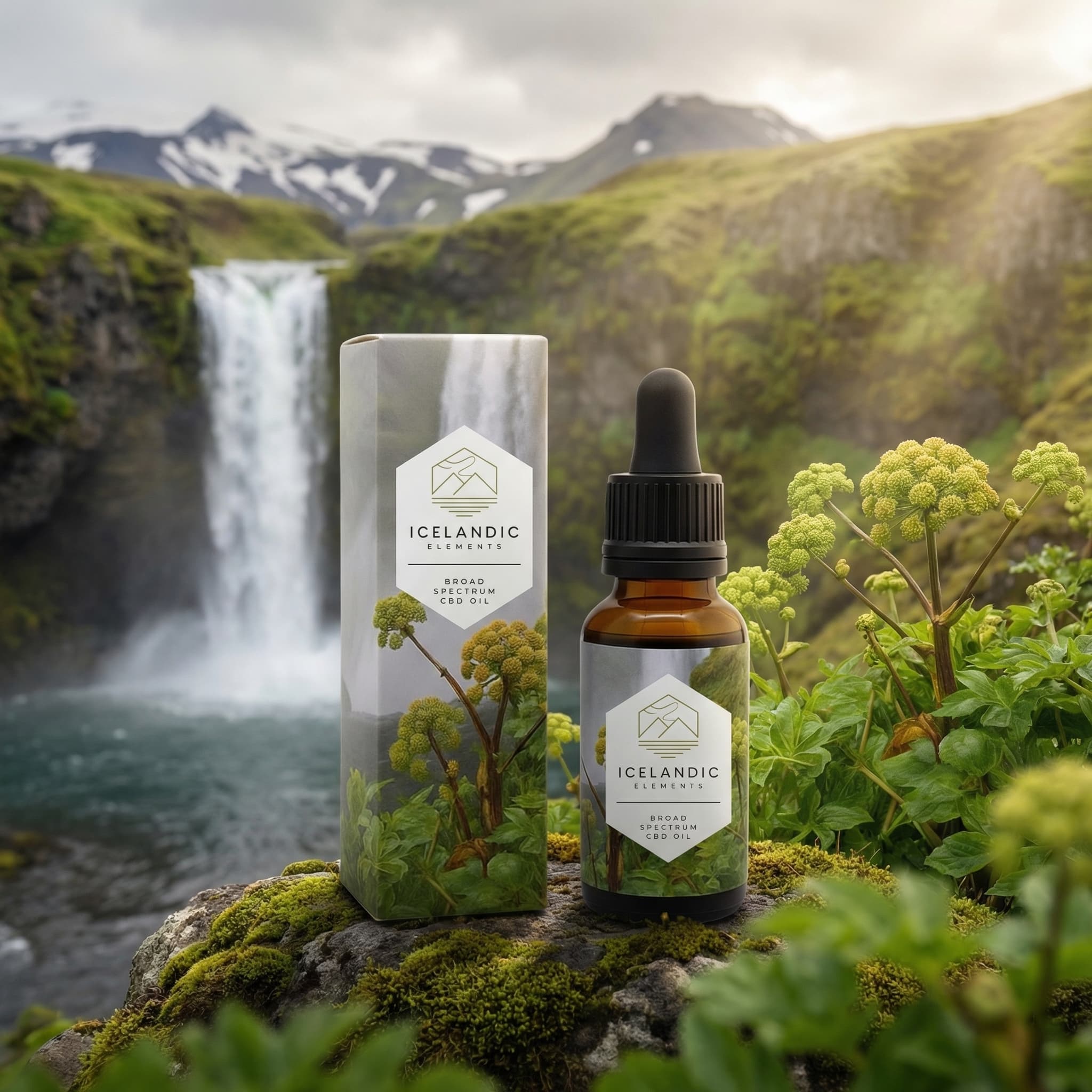 Angelica Balance Broad Spectrum Oil